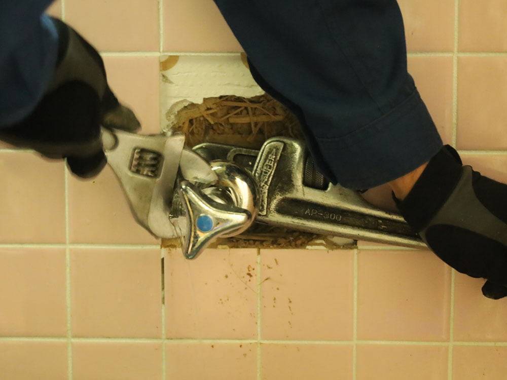 蛇口の取り替え